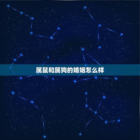 属鼠和属狗的婚姻怎么样,男属鼠女属狗的财运 属鼠和属狗的婚姻怎么样,男属鼠女属狗的财运
