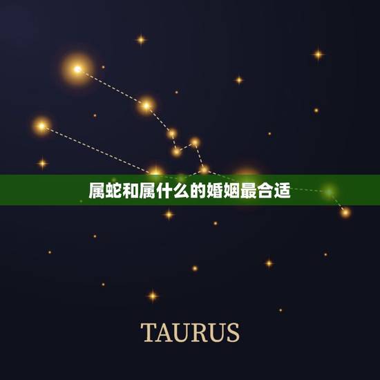 属蛇和属什么的婚姻最合适，属蛇人的婚姻更佳配偶