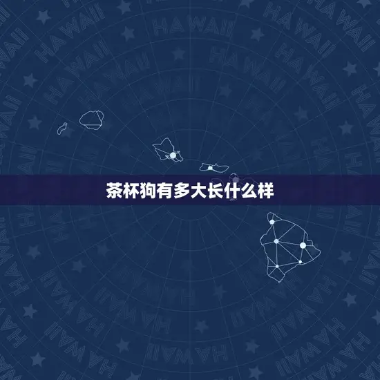 茶杯狗有多大长什么样 茶杯狗有多大长什么样