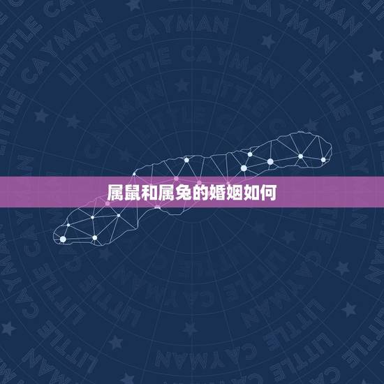 属鼠和属兔的婚姻如何,属鼠的要和属兔的结婚 属鼠和属兔的婚姻如何,属鼠的要和属兔的结婚
