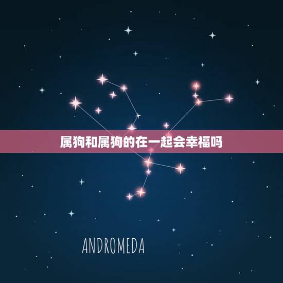 属狗和属狗的在一起会幸福吗,82属狗女40岁大劫 属狗和属狗的在一起会幸福吗,82属狗女40岁大劫