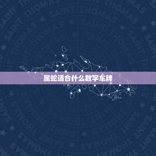 属蛇适合什么数字车牌,车牌遮挡数字磁铁贴 属蛇适合什么数字车牌,车牌遮挡数字磁铁贴