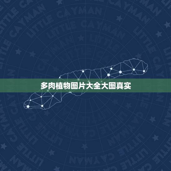 多肉植物图片大全大图真实,开花所有多肉植物图片及名称 多肉植物图片大全大图真实,开花所有多肉植物图片及名称