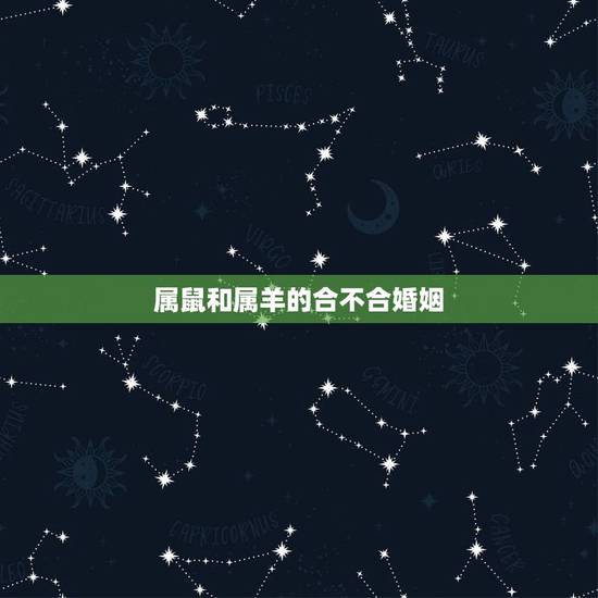 属鼠和属羊的合不合婚姻,属羊人2022 年全年运势 属鼠和属羊的合不合婚姻,属羊人2022 年全年运势