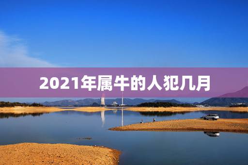 2021年属牛的人犯几月，属牛今年运势2021年运势