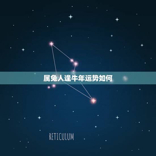 属兔人逢牛年运势如何,属马的2022 年运势如何 属兔人逢牛年运势如何,属马的2022 年运势如何