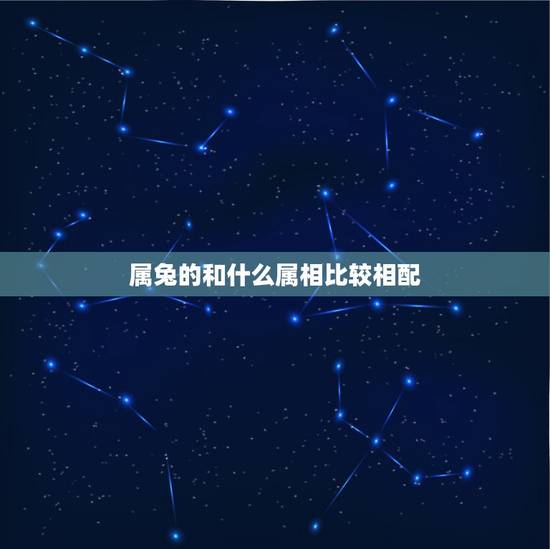 属兔的和什么属相比较相配,属兔与什么属相相配 属兔的和什么属相比较相配,属兔与什么属相相配
