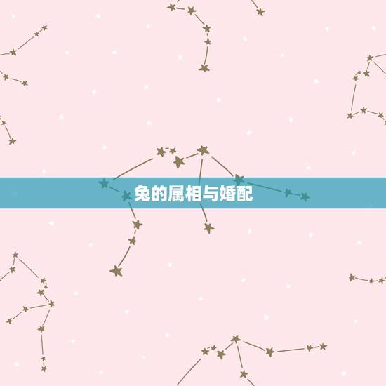 兔的属相与婚配,兔和什么生肖最配 兔的属相与婚配,兔和什么生肖最配