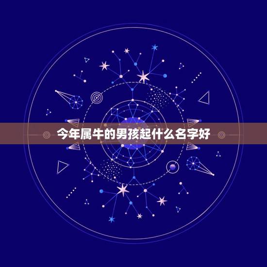 今年属牛的男孩起什么名字好，属牛出生的男宝宝取名