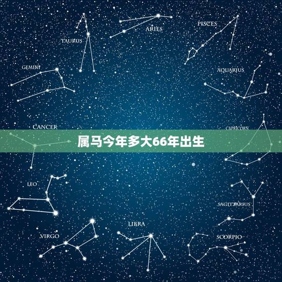 属马今年多大66年出生,2022年属马人的全年每月 属马今年多大66年出生,2022年属马人的全年每月