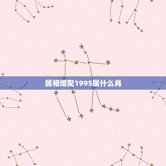属相婚配1995属什么肖,1992年婚姻最配属相 属相婚配1995属什么肖,1992年婚姻最配属相