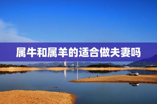 属牛和属羊的适合做夫妻吗，属牛的和属羊的能否在一起？