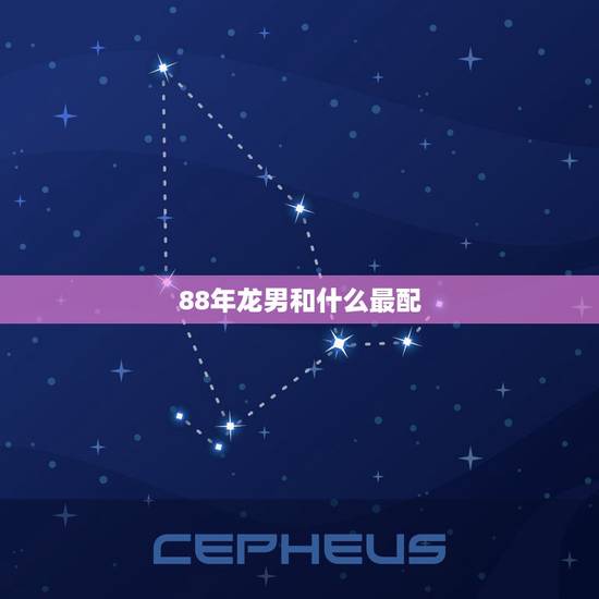 88年龙男和什么最配,88女龙配什么生肖更好 88年龙男和什么最配,88女龙配什么生肖更好