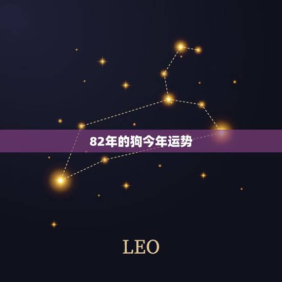 82年的狗今年运势，82年属狗人一生运势如何？