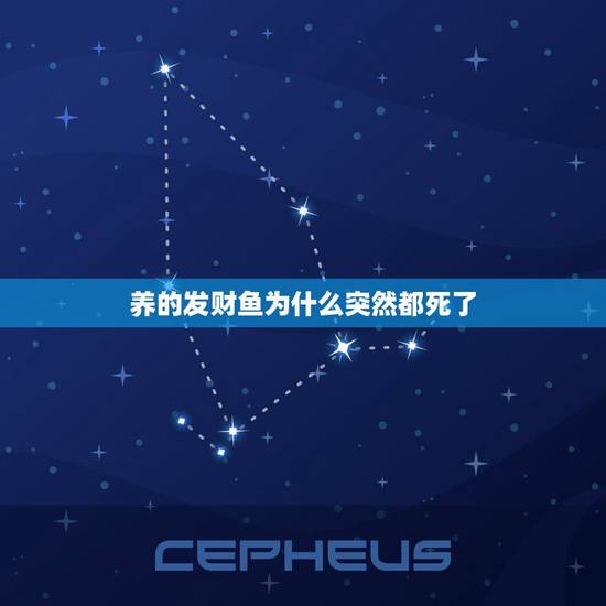 养的发财鱼为什么突然都死了,家里的发财鱼一条条都死了 养的发财鱼为什么突然都死了,家里的发财鱼一条条都死了