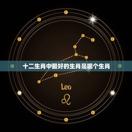 十二生肖中最好的生肖是哪个生肖,十二生肖中哪个最好? 十二生肖中最好的生肖是哪个生肖,十二生肖中哪个最好?