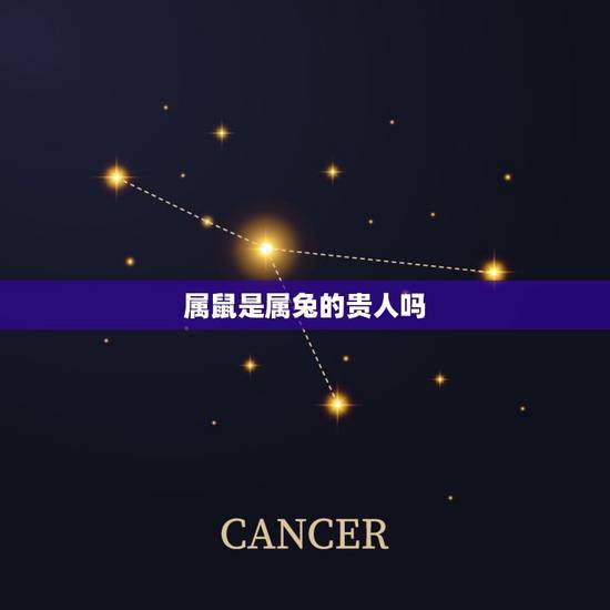 属鼠是属兔的贵人吗,75属兔一生有几次婚姻 属鼠是属兔的贵人吗,75属兔一生有几次婚姻