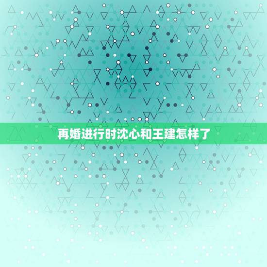 再婚进行时沈心和王建怎样了，再婚进行时沈心相亲交通警察好了吗