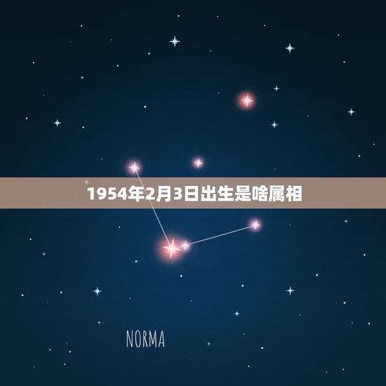 1954年2月3日出生是啥属相，2004年2月3日出生属什么生肖