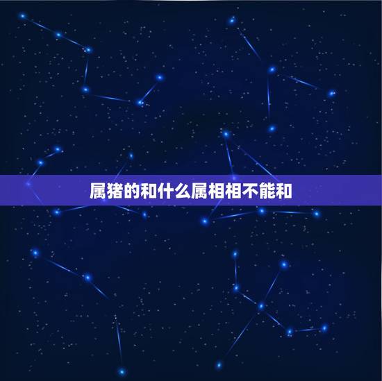 属猪的和什么属相相不能和，属猪的和什么属相最配