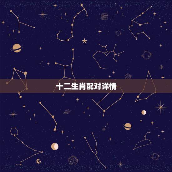 十二生肖配对详情，十二生肖配对的数字显示