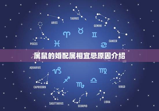 属鼠的婚配属相宜忌原因介绍,93年属鸡女和什么相配好 属鼠的婚配属相宜忌原因介绍,93年属鸡女和什么相配好