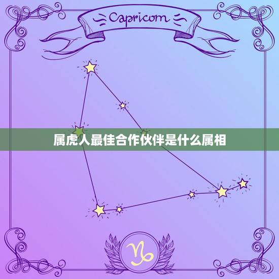属虎人最佳合作伙伴是什么属相,属虎的和什么属相合伙做生意 属虎人最佳合作伙伴是什么属相,属虎的和什么属相合伙做生意