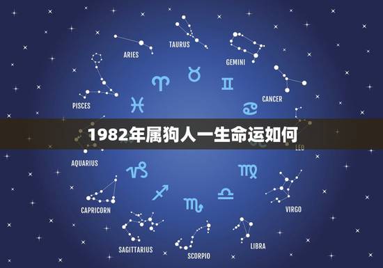 1982年属狗人一生命运如何，66年属马运气如何？