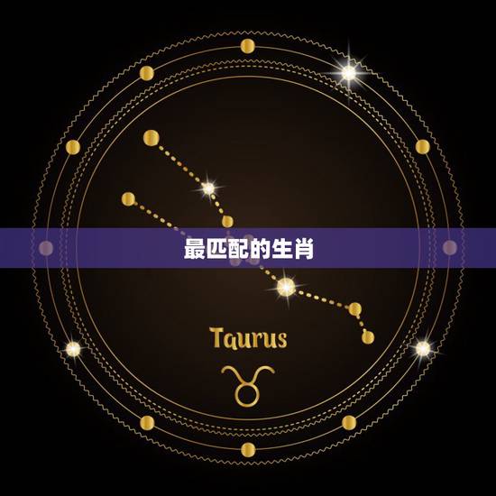 最匹配的生肖，什么生肖和什么生肖最配