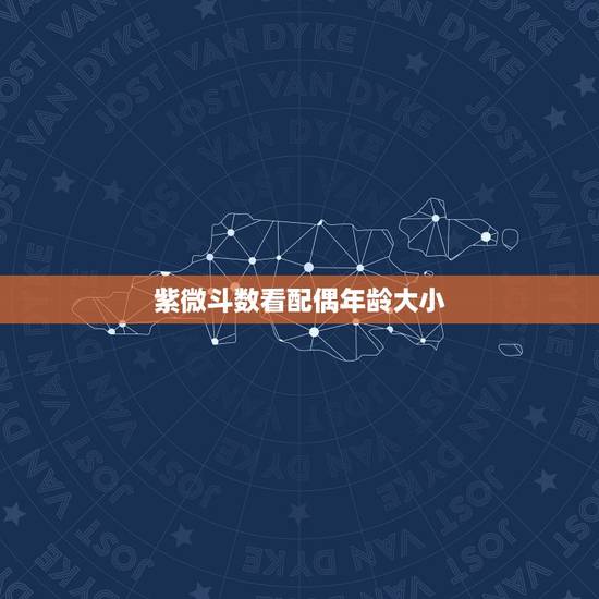 紫微斗数看配偶年龄大小,紫微斗数入门基础知识 紫微斗数看配偶年龄大小,紫微斗数入门基础知识