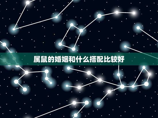 属鼠的婚姻和什么搭配比较好，属鼠的婚配对象