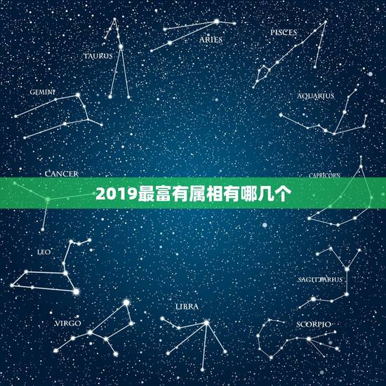 2019最富有属相有哪几个，2019年是什么生肖年