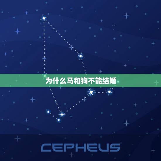 为什么马和狗不能结婚,为什么男不养猫女不养狗的原因 为什么马和狗不能结婚,为什么男不养猫女不养狗的原因