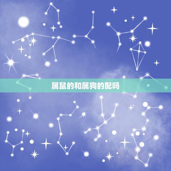 属鼠的和属狗的配吗，96年属鼠和94男属狗的相配吗？今天他居然说不合