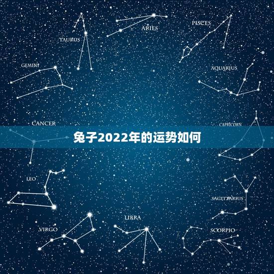 兔子2022年的运势如何，2022年属兔人的全年运势