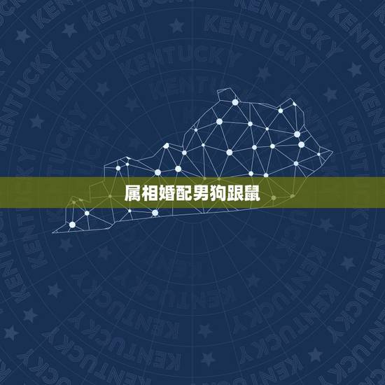 属相婚配男狗跟鼠,属相婚配:男属鼠和女属狗相配吗 属相婚配男狗跟鼠,属相婚配:男属鼠和女属狗相配吗