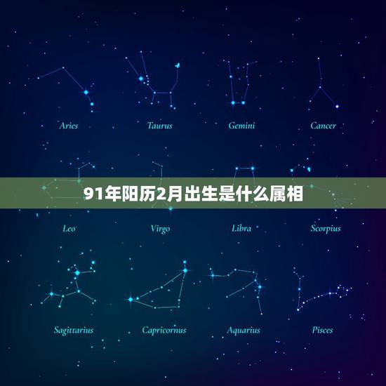 91年阳历2月出生是什么属相，男性91年2月10号出生的属相是什么