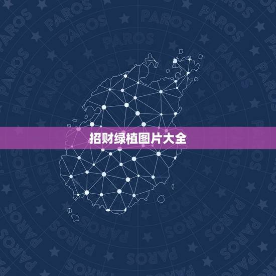 招财绿植图片大全，适合放在客厅财位的植物都有哪些