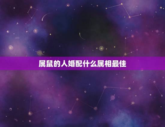 属鼠的人婚配什么属相最佳,84年属鼠婚配哪个属相最好 属鼠的人婚配什么属相最佳,84年属鼠婚配哪个属相最好