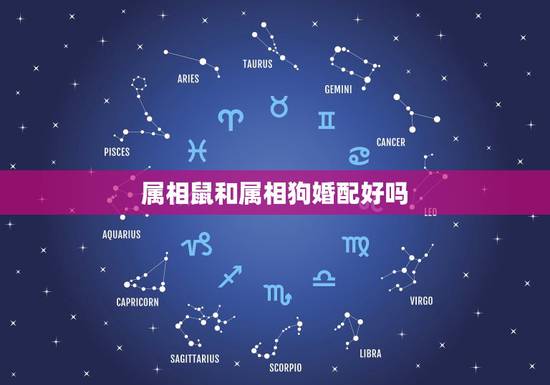 属相鼠和属相狗婚配好吗,属鼠和属狗的相配吗 属相鼠和属相狗婚配好吗,属鼠和属狗的相配吗