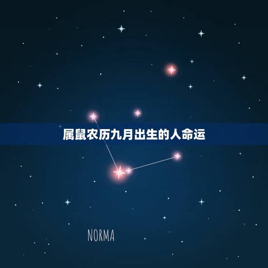 属鼠农历九月出生的人命运，2022 年鼠9月哪天出生更好