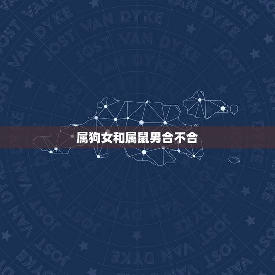 属狗女和属鼠男合不合，属狗女和属鼠男的婚姻怎么样