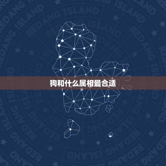 狗和什么属相最合适,属狗的和什么属相最合适 狗和什么属相最合适,属狗的和什么属相最合适