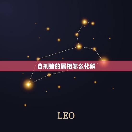 自刑猪的属相怎么化解，猪猪相刑的后果是什么？