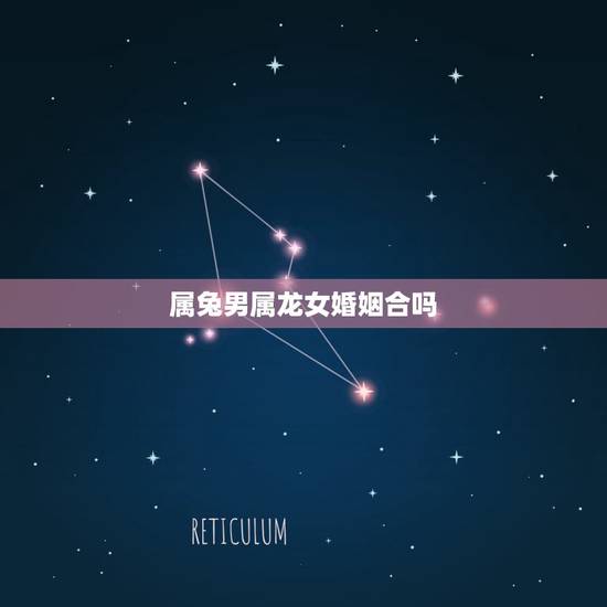 属兔男属龙女婚姻合吗,属兔男和属龙女的婚姻怎么样 属兔男属龙女婚姻合吗,属兔男和属龙女的婚姻怎么样