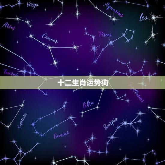 十二生肖运势狗，运缘阁的十二生肖中狗的九月份运势怎么样？