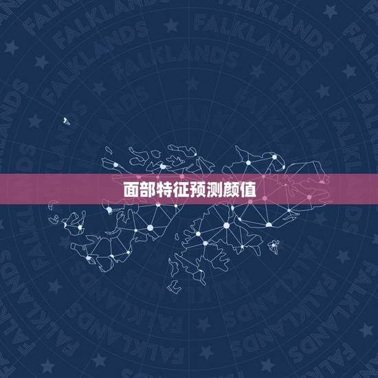 面部特征预测颜值