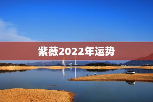 紫薇2022年运势，紫薇运势