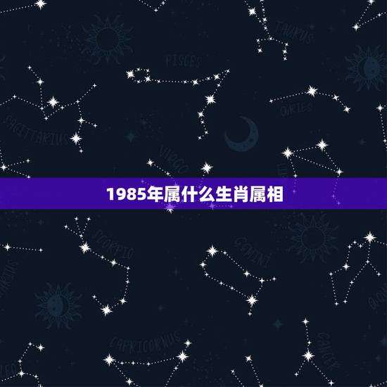 1985年属什么生肖属相，1985年属什么生肖？