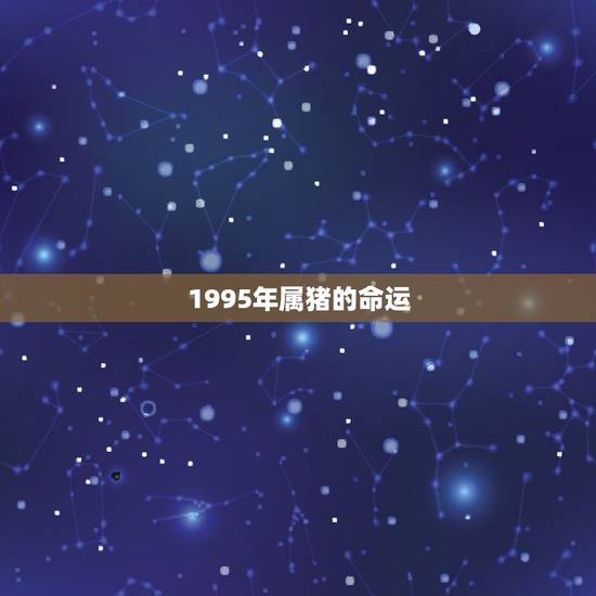 1995年属猪的命运，95年属猪的命好吗？